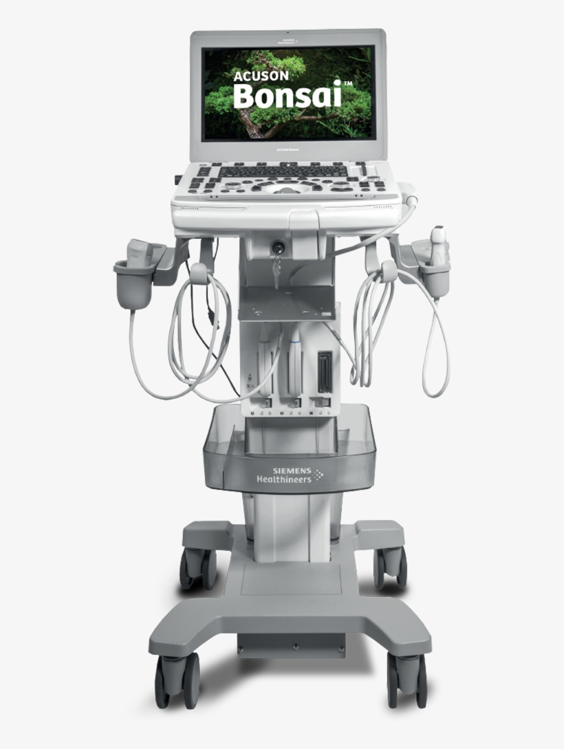 Siemens Acuson Bonsai Image - Flat Panel Display, transparent png download