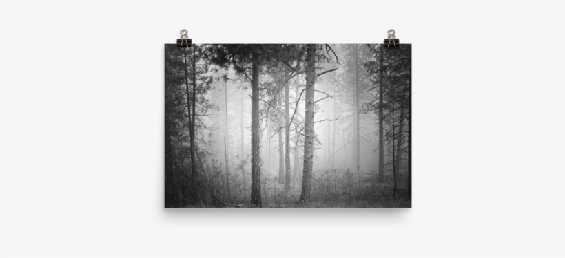 Picture Frame, transparent png download