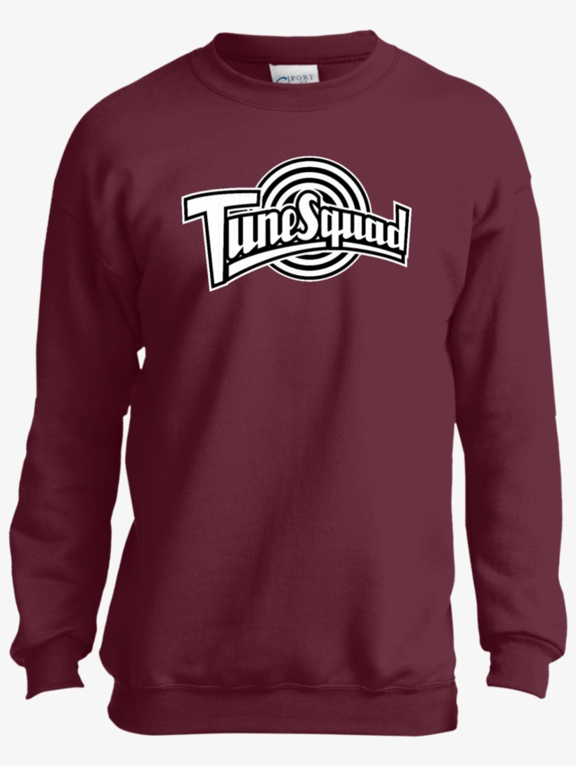 Tune Squad Black Youth Sweatshirt Sweatshirts - Sweatshirt, transparent png download