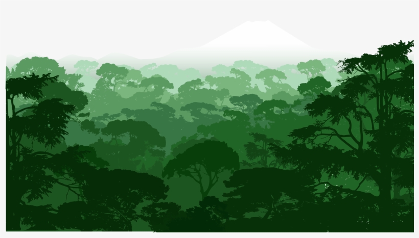 Clipart Forest Forest Tree - Forest Clipart, transparent png download