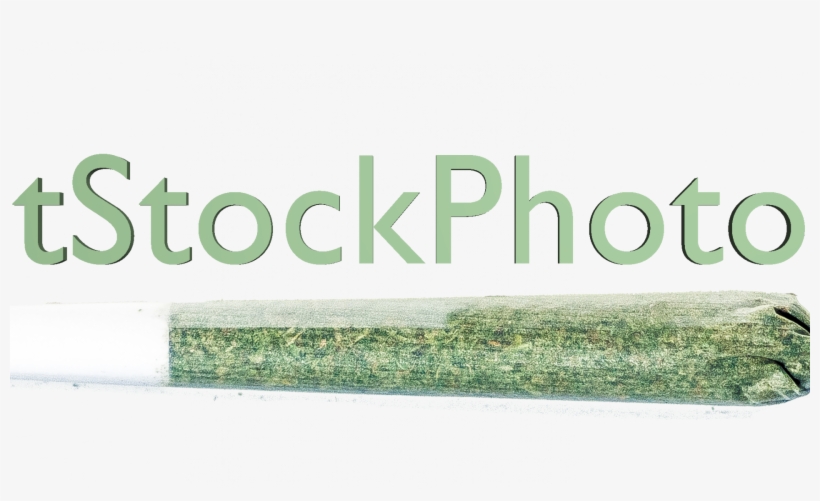 Grass, transparent png download