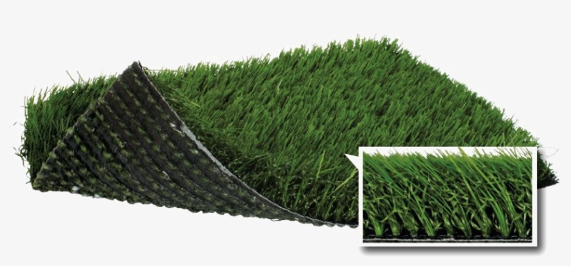 Artificial Turf Png Transparent - Synthetic Turf, transparent png download
