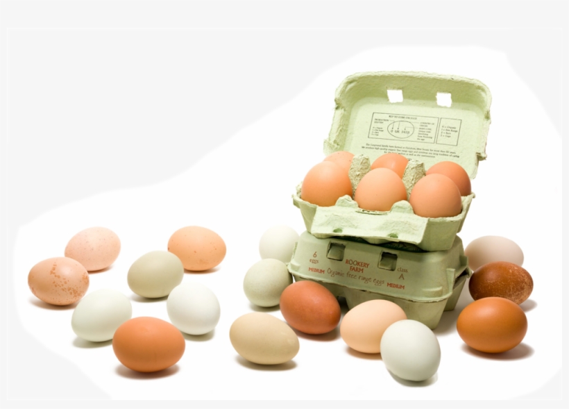 Rookeryeggs Header Transparency - Egg, transparent png download