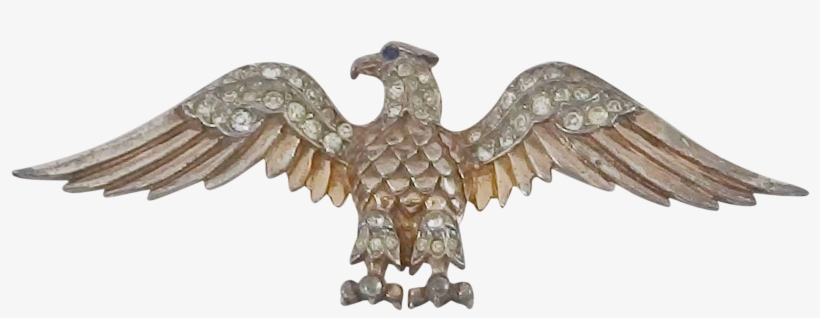 Osprey, transparent png download