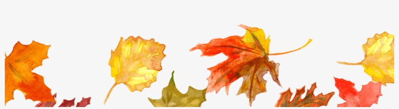 Fall Leaves - Maple Leaf, transparent png download