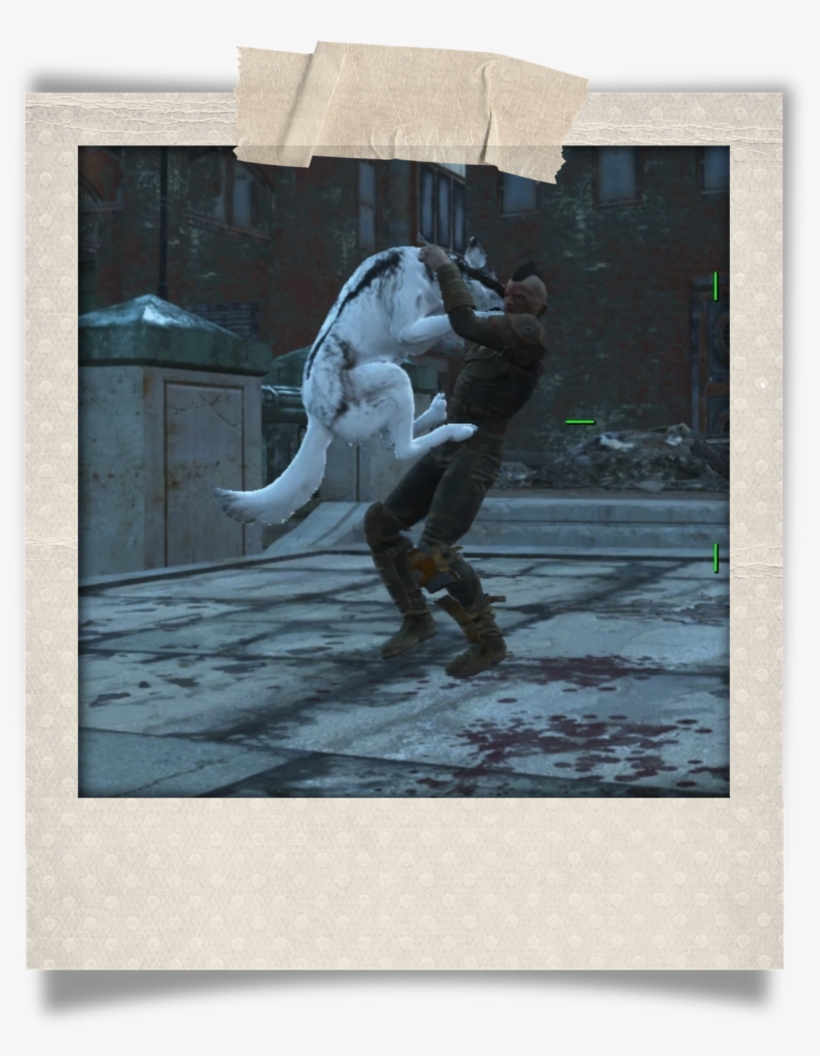 Valentina Took Nate's Old Camera Out When She Stumbled - Jumping, transparent png download