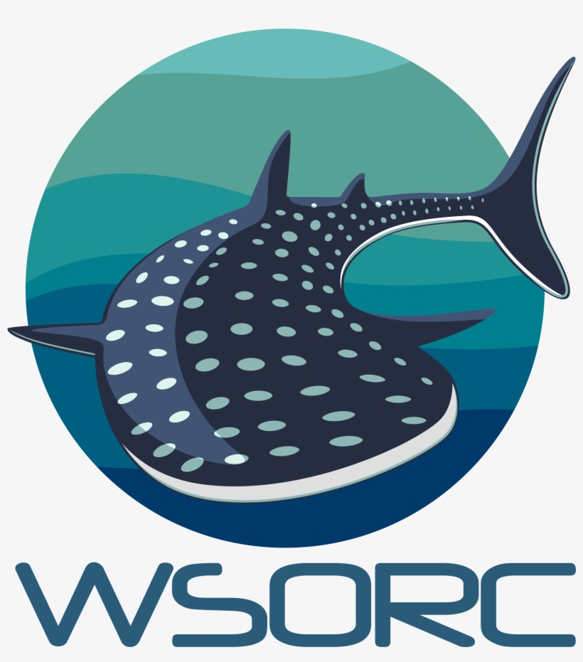 Whale Shark And Oceanic Research Centre - Whale Shark, transparent png download