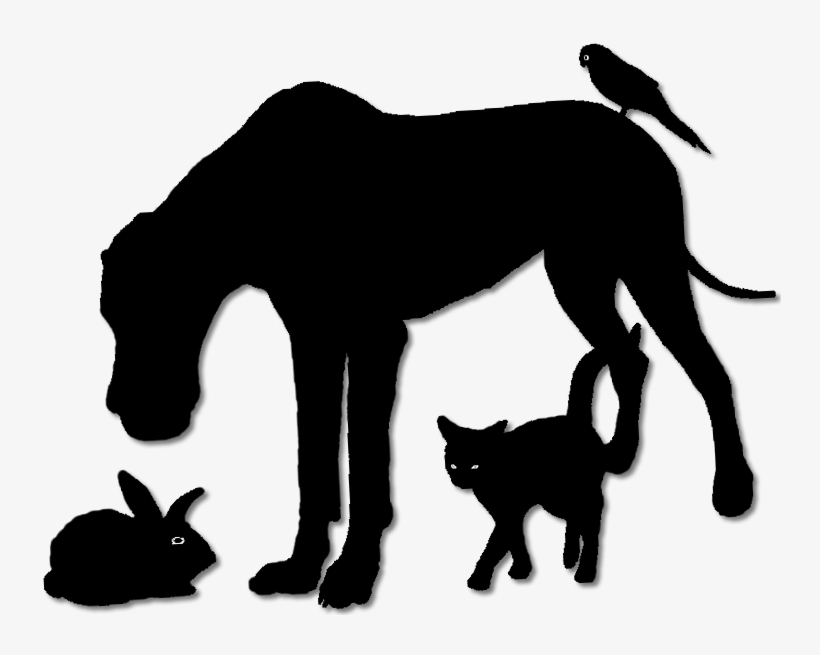 Forest Hills Pet Amp Home Sitters Llc - Illustration, transparent png download