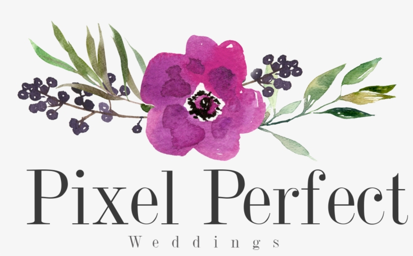 Bio Testimonials Contact The Knot - Pixel Perfect Weddings, transparent png download