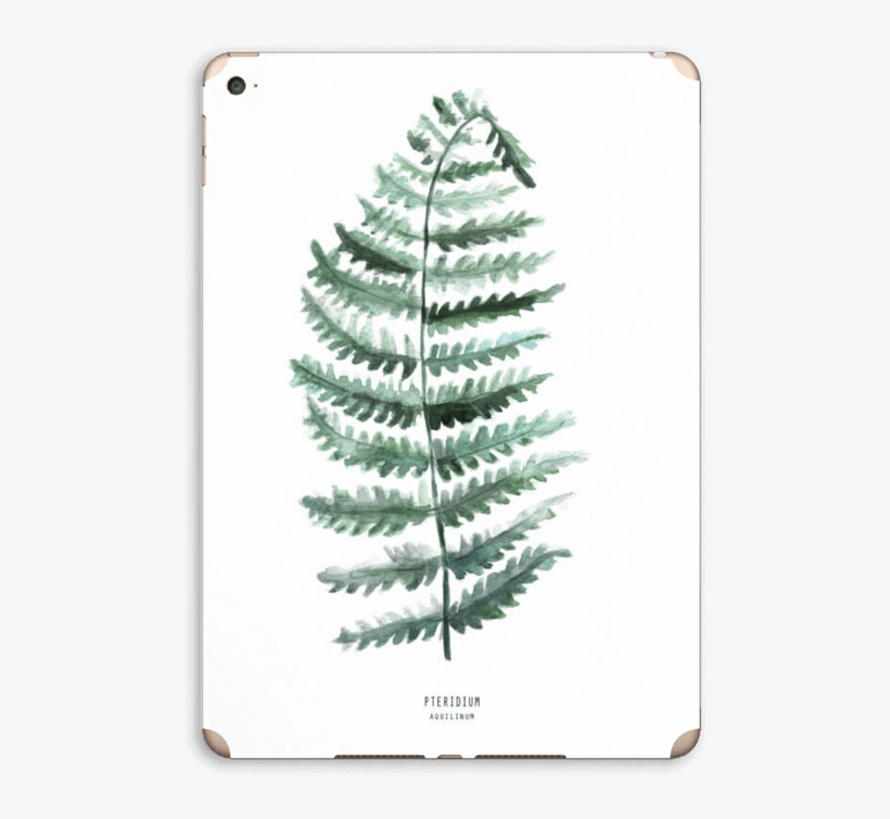 Pteridium Aquilinum Skin Ipad Air - Ipad 4, transparent png download