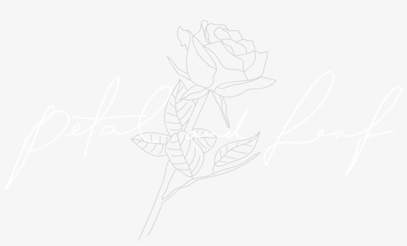 About - Sketch, transparent png download