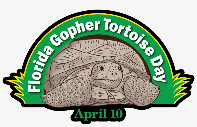 Gopher Tortoise Day, transparent png download