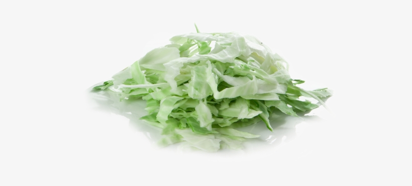 Shredded Iceberg Lettuce - Shredded Lettuce Transparent, transparent png download
