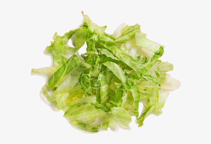 Lettuce Clipart Sliced - Lettuce, transparent png download
