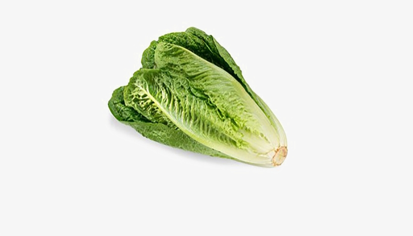 Romaine Lettuce Png Download Image - Romaine Lettuce E Coli Outbreak, transparent png download