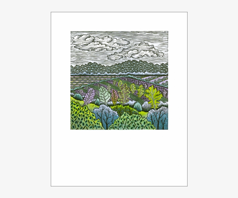 Metta Lettuce Art Print - Lettuce Art Print, transparent png download