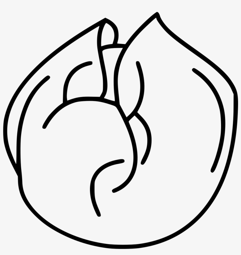 Png File Svg - Vegetable, transparent png download