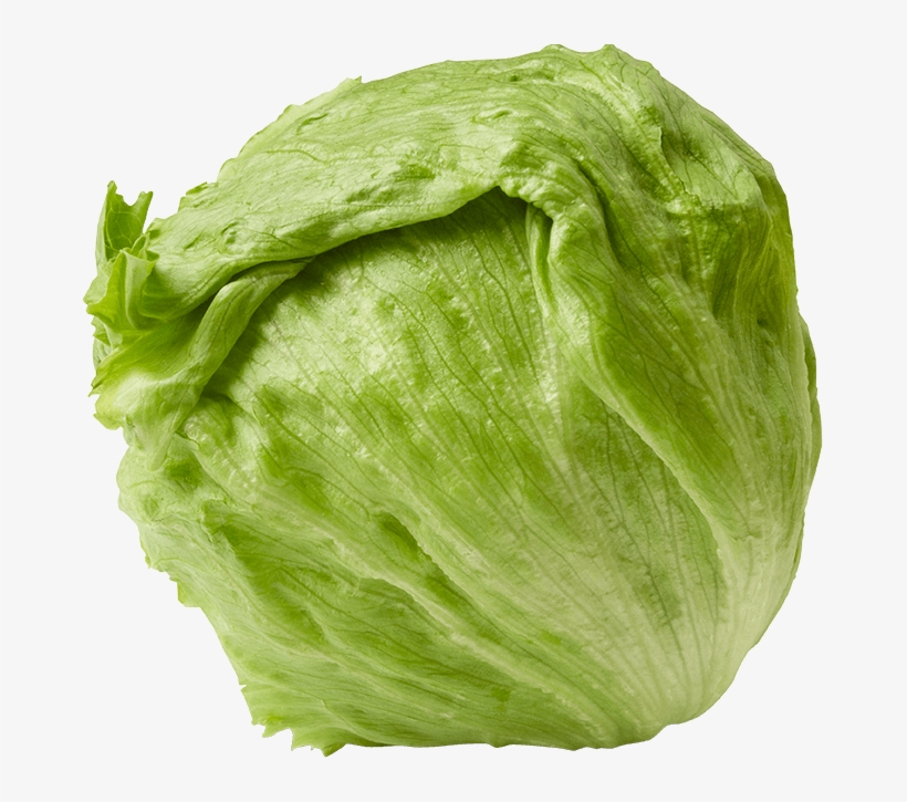 Ibotta Com Any Brand - 26 Weeks Pregnant Meme, transparent png download