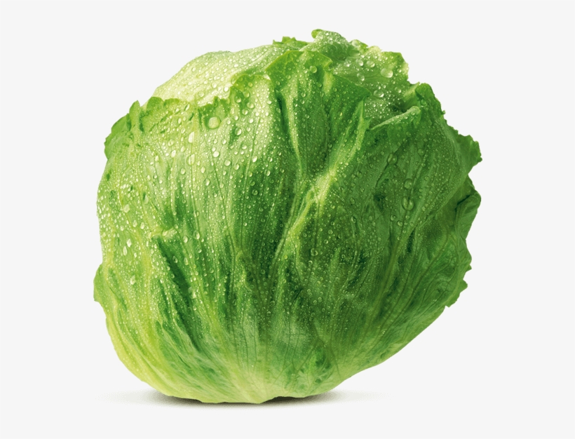 Iceberg Lettuce Von Elo - Electric Light Orchestra, transparent png download