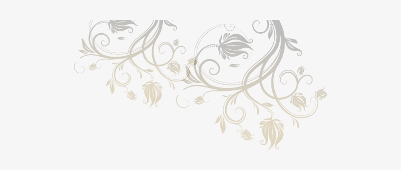 Lange - - Sketch, transparent png download