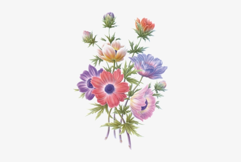 Fl-103 - Flor Feliz Dia Da Mae, transparent png download