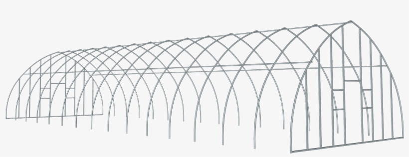 High Tunnel Greenhouse 20 X 56 X 12 Ft - Greenhouse, transparent png download