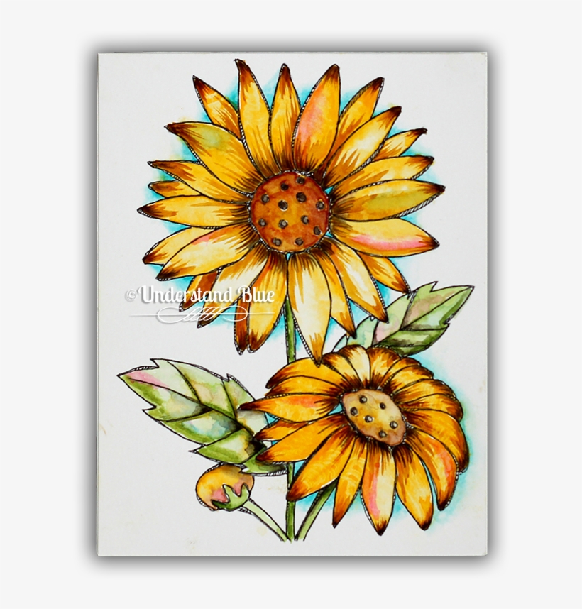 Since This One Was On Top - Sunflower, transparent png download