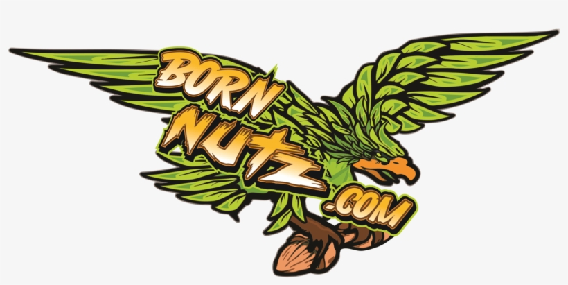 Pumpkin Spice Almonds, 10oz Born Nutz Nut Company Svg - Nut, transparent png download