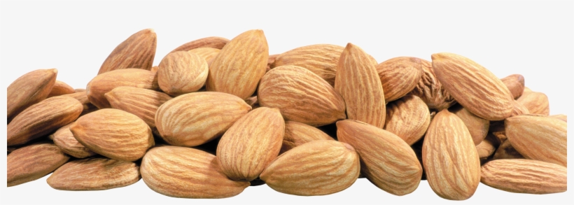 Png Images, Pngs, Almond, Almonds, (id 50486) - Миндаль Пнг, transparent png download