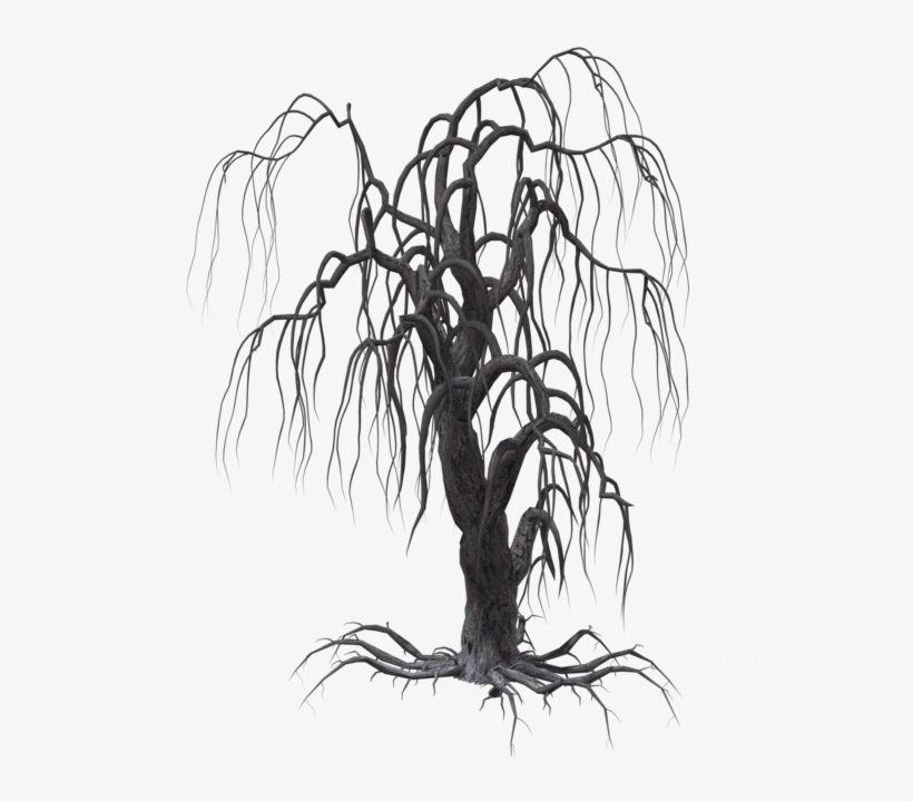 Creepy Tree 16 By Wolverine041269 On Clipart Library - Portable Network Graphics, transparent png download