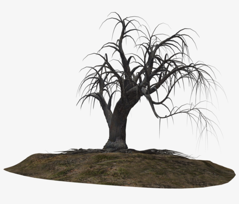 Creepy Tree 21 By Wolverine041269 On Clipart Library - Clip Art, transparent png download