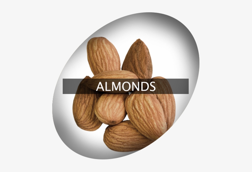 Landingimage Igrow Almonds - Almond, transparent png download