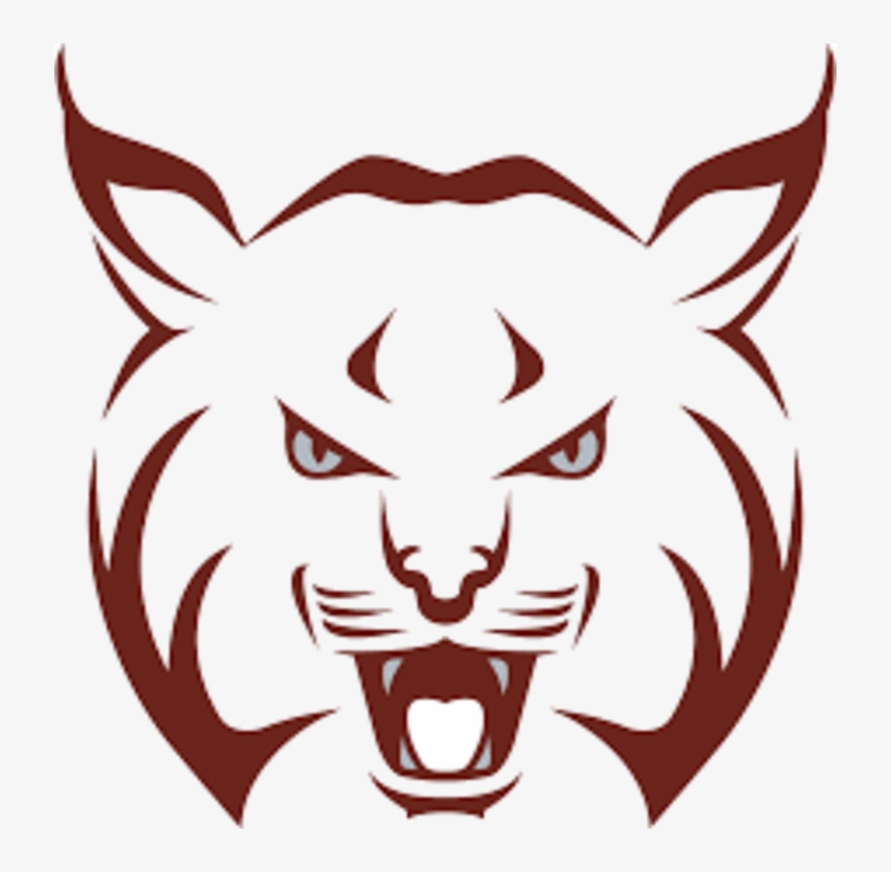 Picture Freeuse Stock The Beaver Bobcats Scorestream - Beaver Bobcats, transparent png download