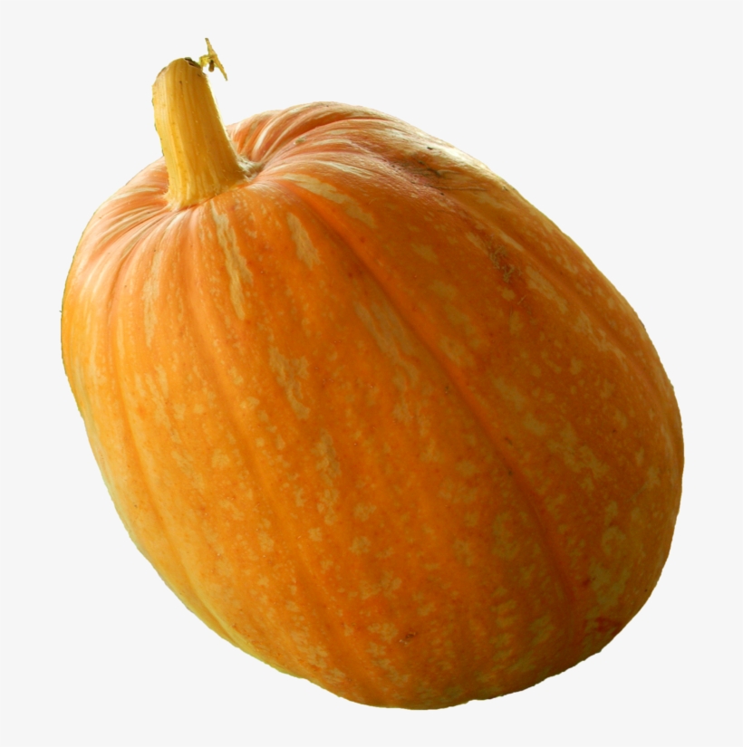Real Pumpkin Png Transparent Image - Calabaza Real Png, transparent png download