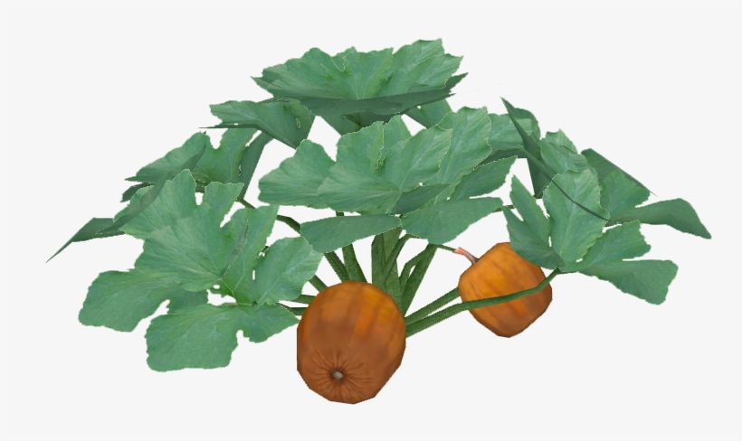 Pumpkin - Bush Tomato, transparent png download