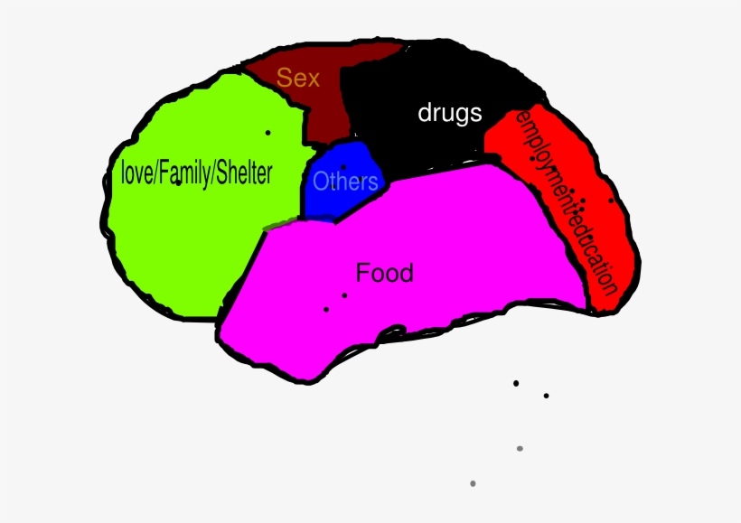 Human Brain Clip Art - Clip Art Human Brain, transparent png download