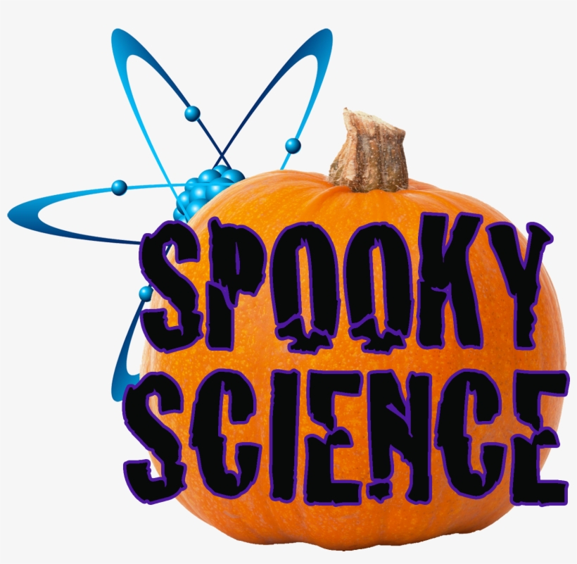 Call Us Today At 757 502 8124 For More Information, transparent png download