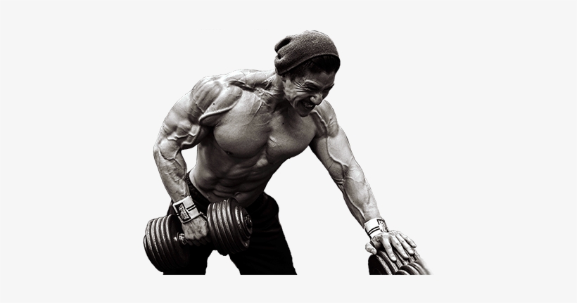 Superior 14 Wmb Amino 6300, transparent png download