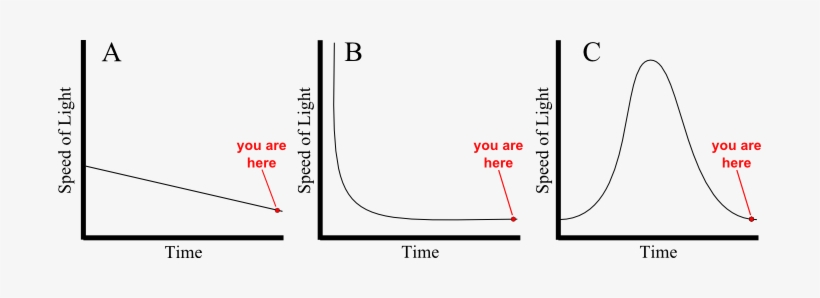 Nonetheless, What We Have Is A Slowing Speed Of Light - Common Fig, transparent png download