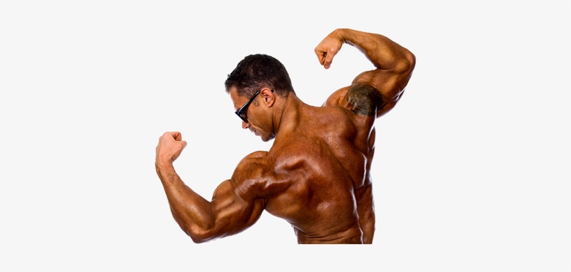 Counter-image - Barechested, transparent png download