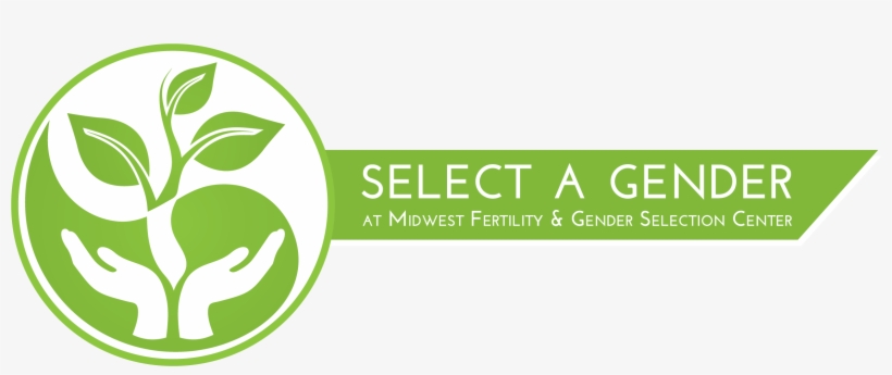 Midwest Fertility & Gender Selection Center - Ericsson Method Gender Selection, transparent png download