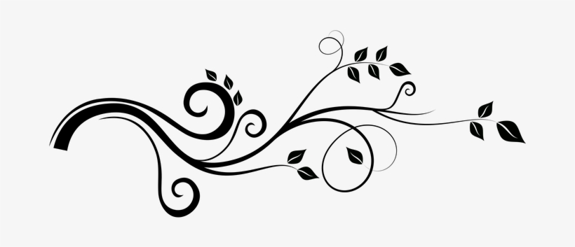 Enredadera Rama Hojas Naturaleza Adorno Pr - Png Black And White, transparent png download