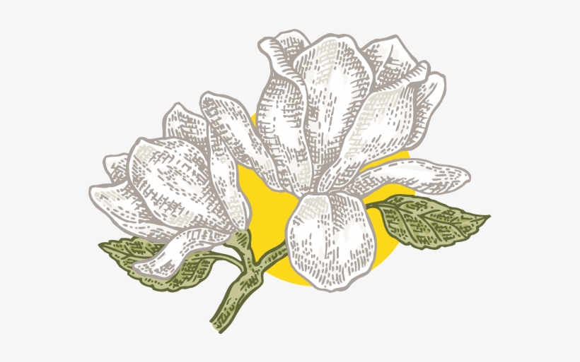Big Time Fun In Small Town Texas - Iris, transparent png download