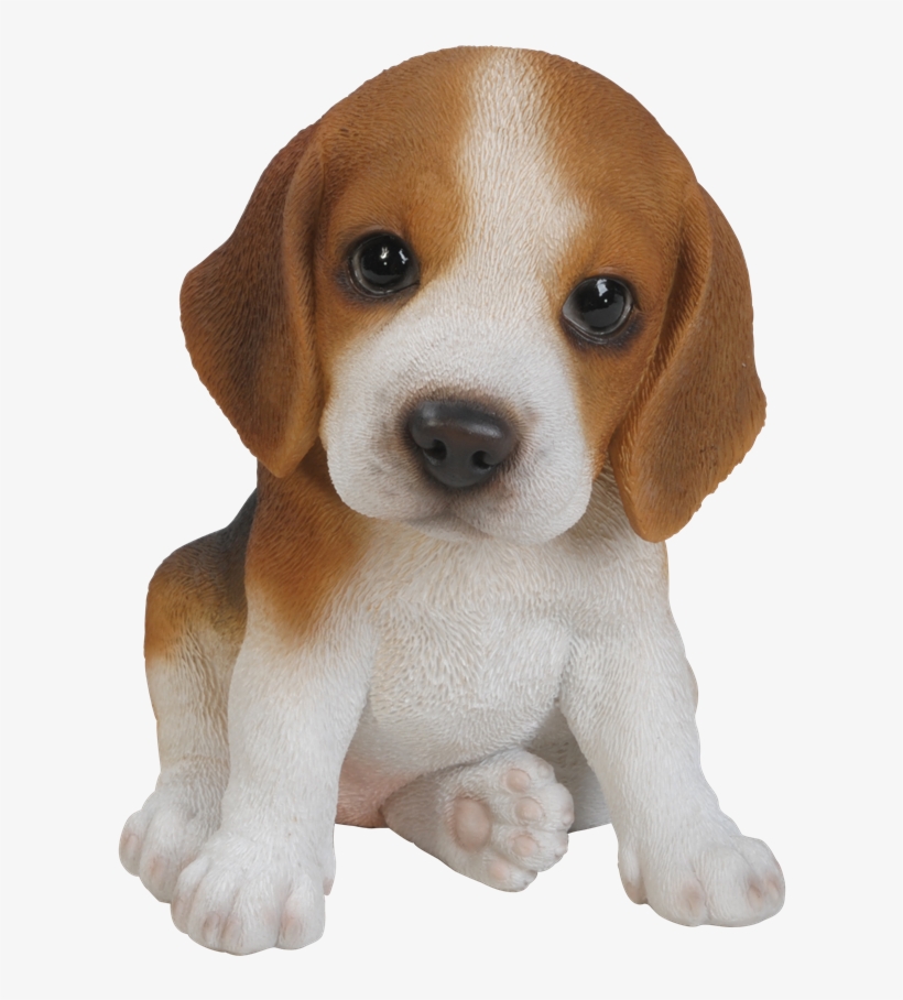 Beagle Png Background Image - Natures Gallery Beagle Puppy Statue - 83527, transparent png download