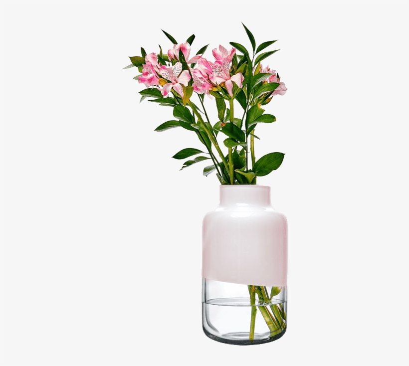 Magnolia - Stargazer Lily, transparent png download