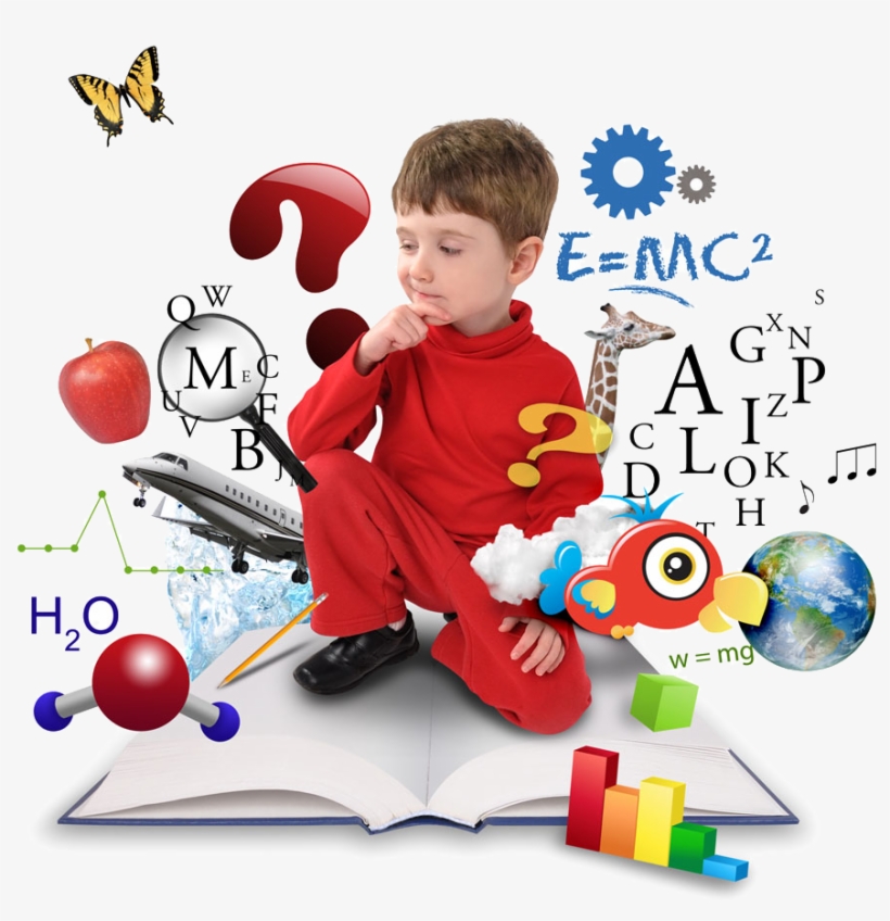 1000 X 967 7 - Skills Kids, transparent png download