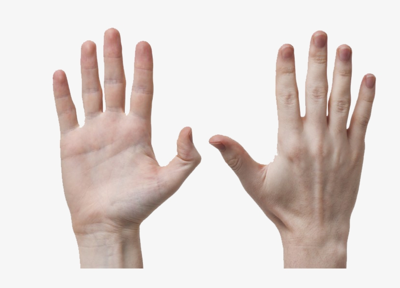 Fingers Png Background - Dupuytren's Contracture Of Thumb, transparent png download