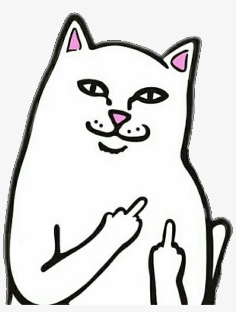 #cat #png #fu #freetoedit - Transparent Rip N Dip Cat, transparent png download