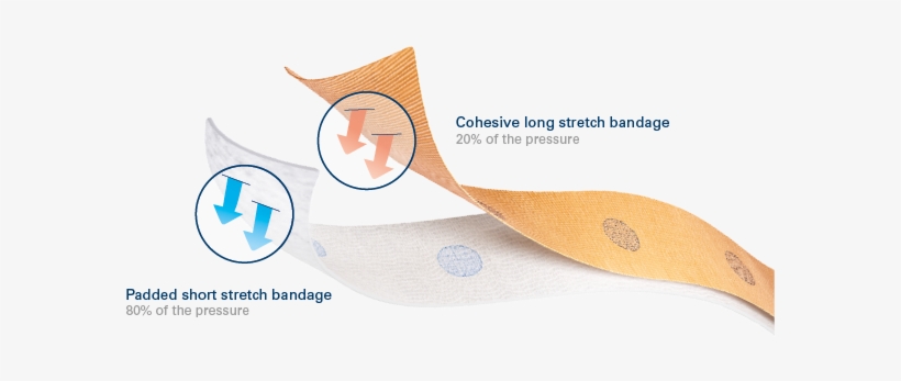 Association Of A Short Stretch Bandage That Provides - Cartoon, transparent png download
