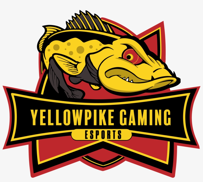 National Pubg League Online Qualifier Battlefy Png - Video Game, transparent png download